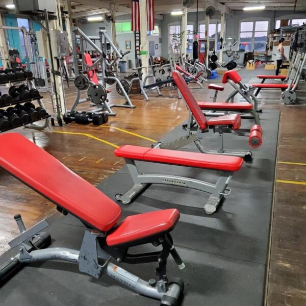 Resized 20250520 053116