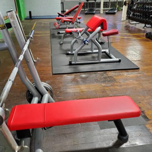 Resized 20250520 053247